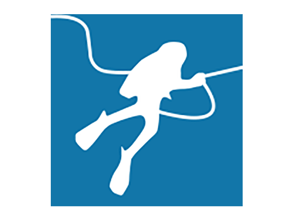 ADAS diver icon